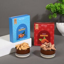 Indian Karigar Masala cashew and salted almonds